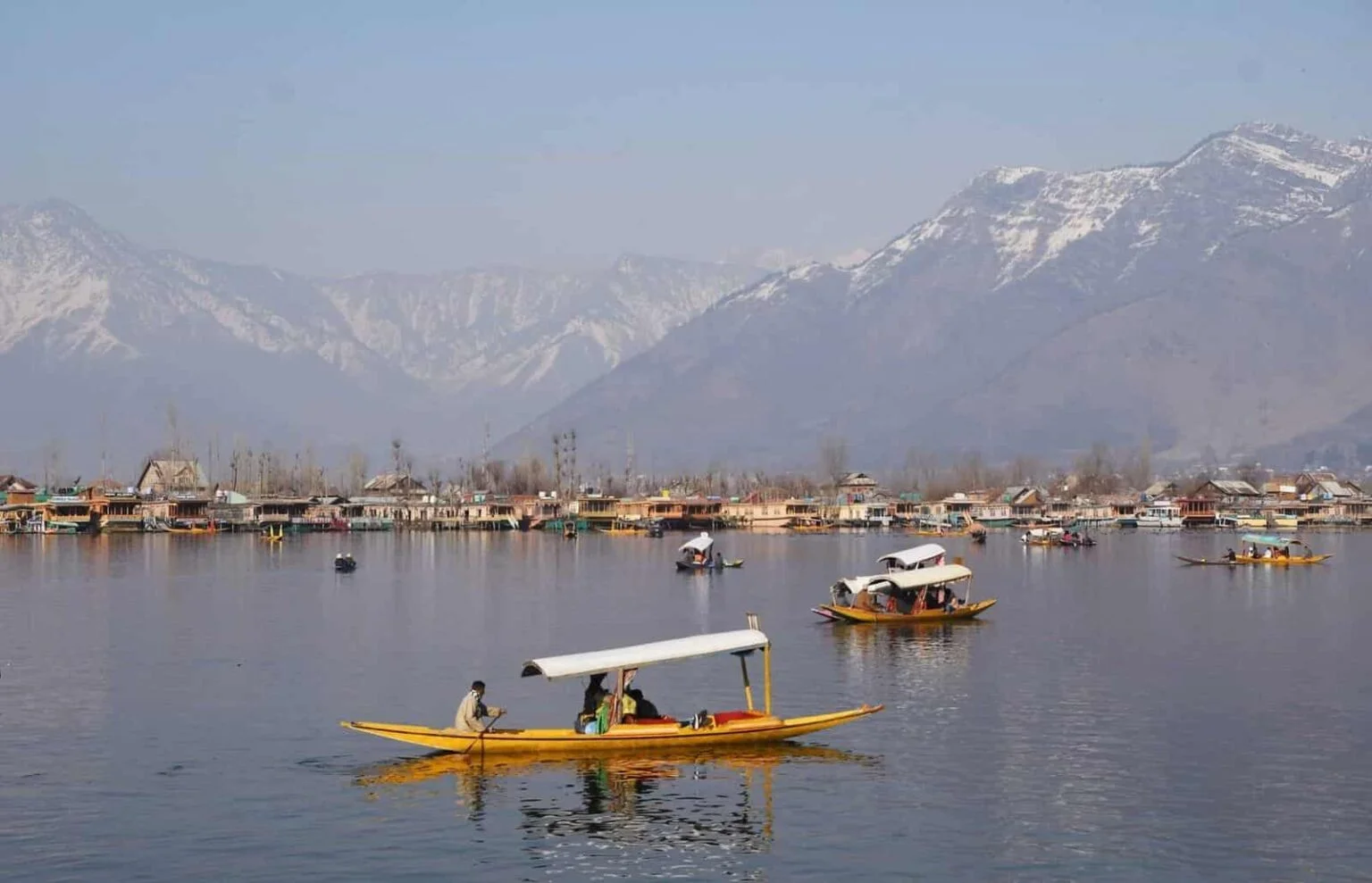 Classic Kashmir