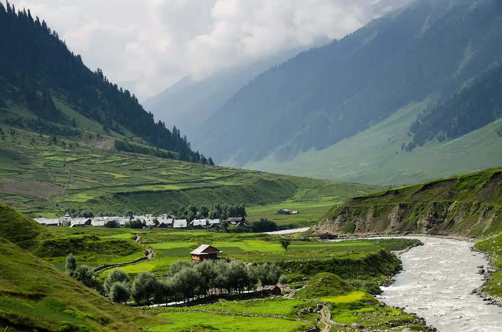 Classic Kashmir