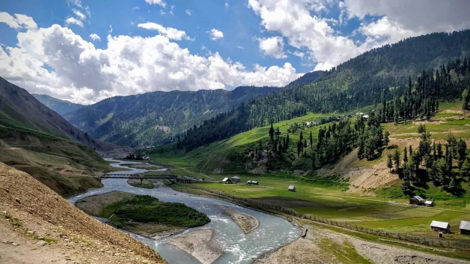 Classic Kashmir
