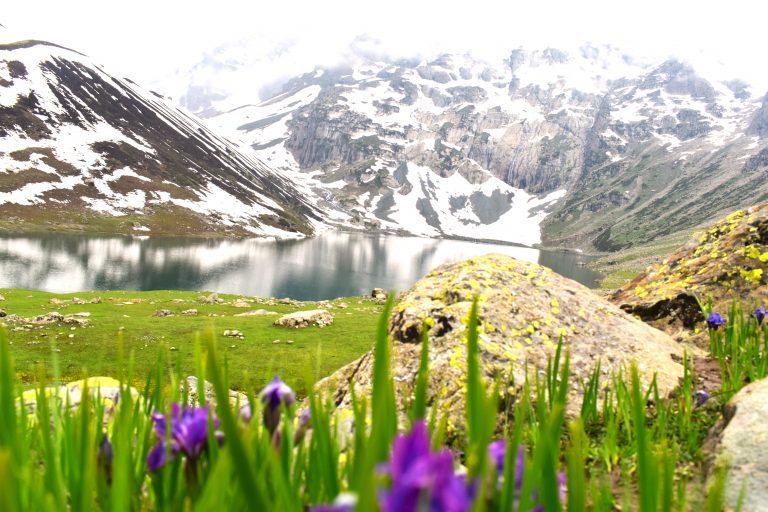 Classic Kashmir